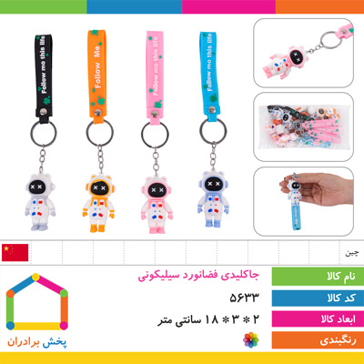 جاکلیدی فضانورد سیلیکونی