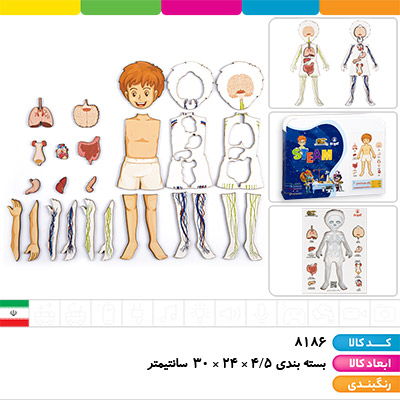 پازل اعضای بدن